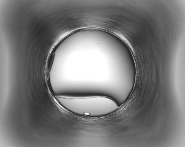 X0000087061485200704180926