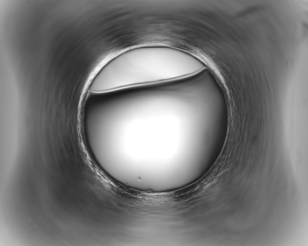 X0000087061488200704180926
