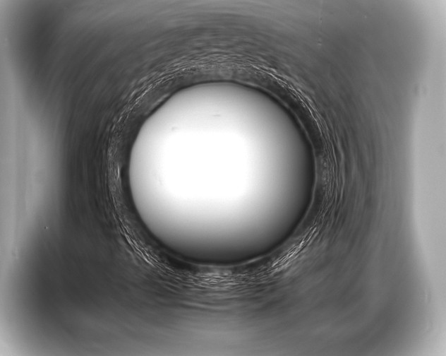 X0000087061489200704180926