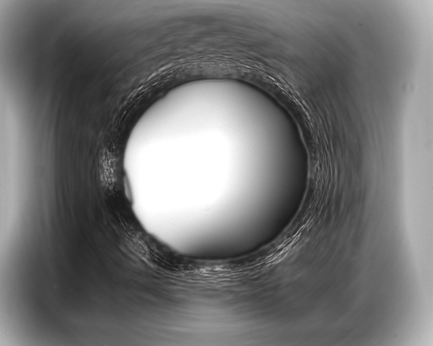 X0000087061490200704180926