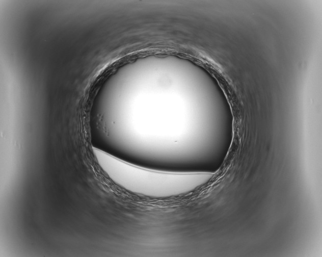 X0000087061496200704180926