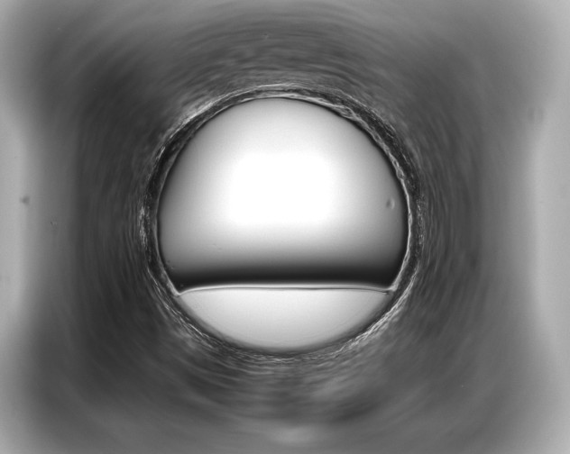 X0000087061497200704180926