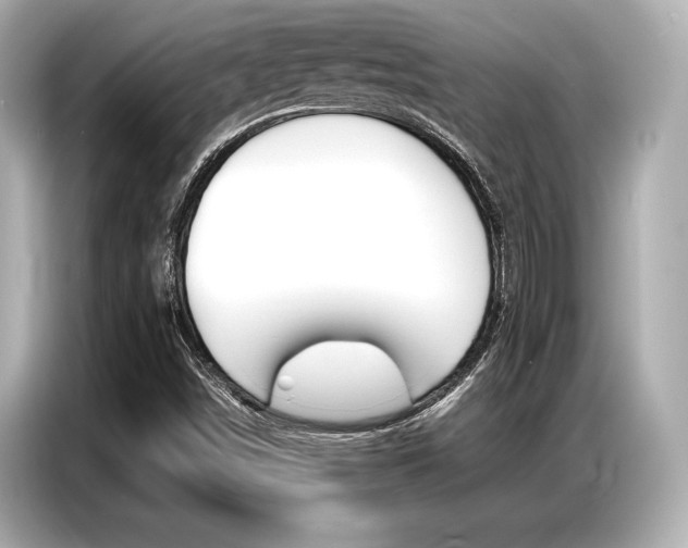X0000087061498200704180926