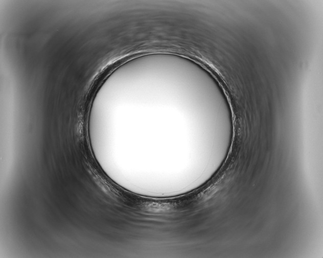 X0000087061499200704180926