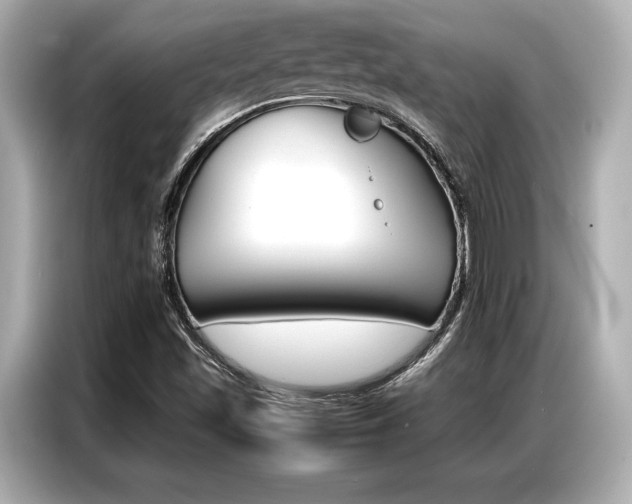 X0000087061501200704180926