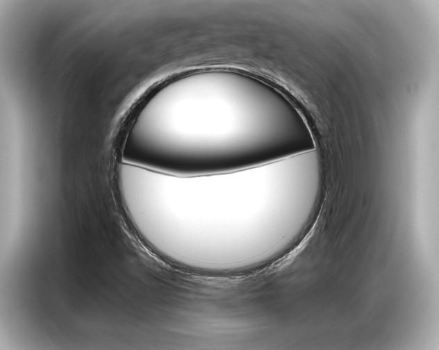 X0000087061502200704180926
