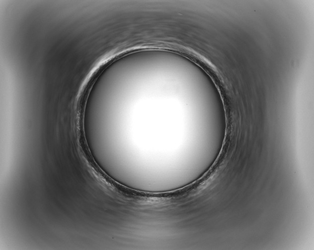 X0000087061506200704180926