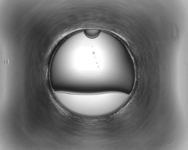 X0000087061507200704180926