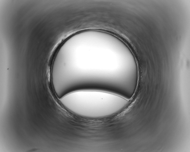 X0000087061509200704180926