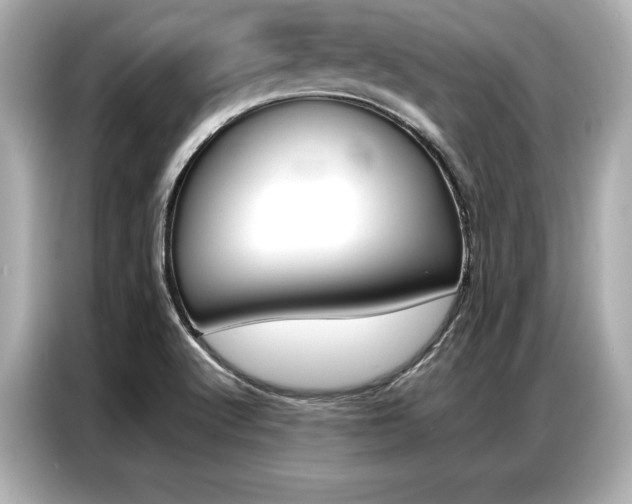 X0000087061512200704180926