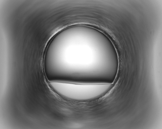 X0000087061513200704180926