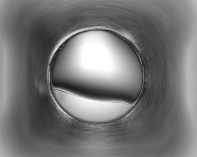 X0000087061516200704180926