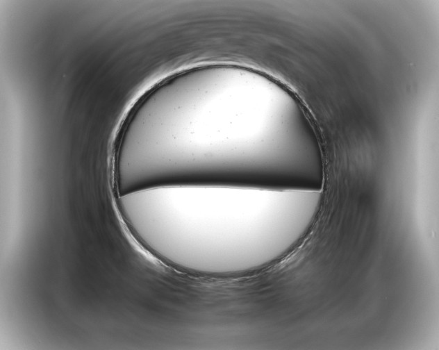 X0000087061519200704180926