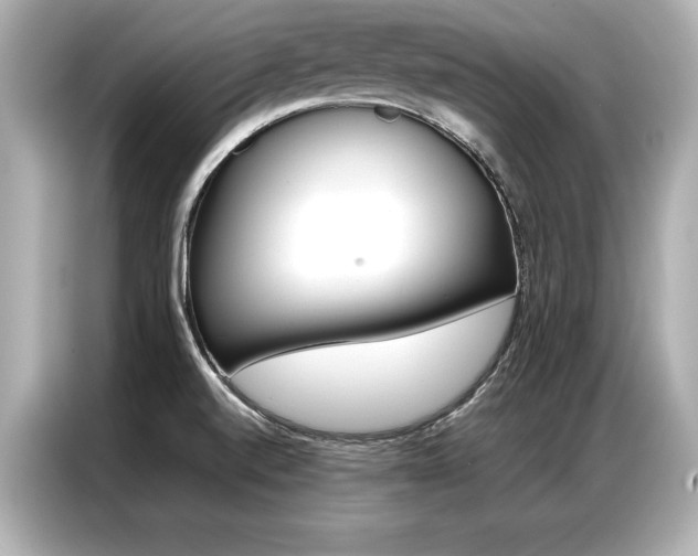 X0000087061520200704180926