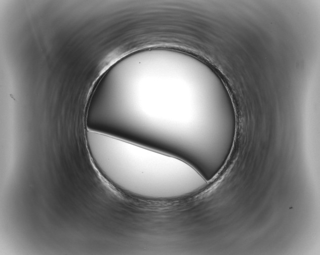 X0000087061521200704180926