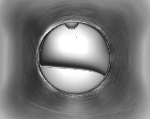 X0000087061522200704180926