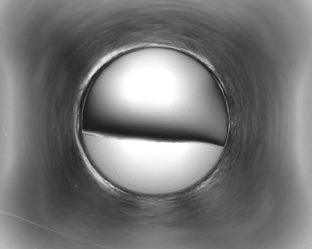 X0000087061523200704180926