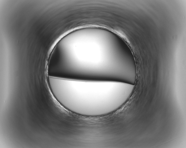 X0000087061524200704180926