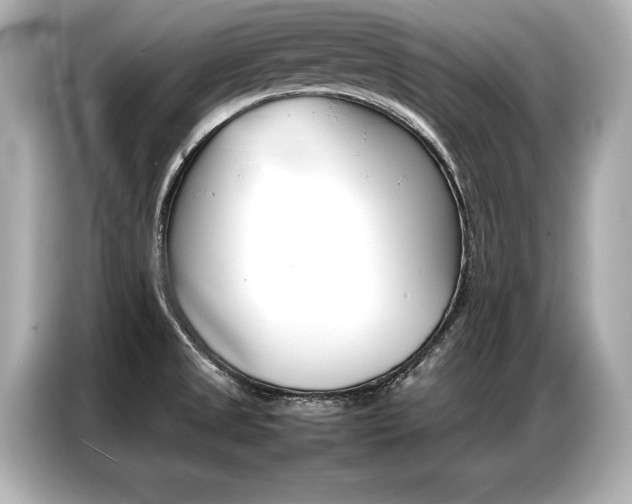 X0000087061525200704180926