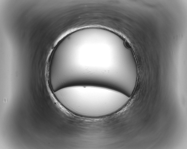 X0000087061526200704180926