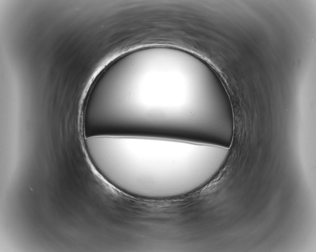 X0000087061527200704180926