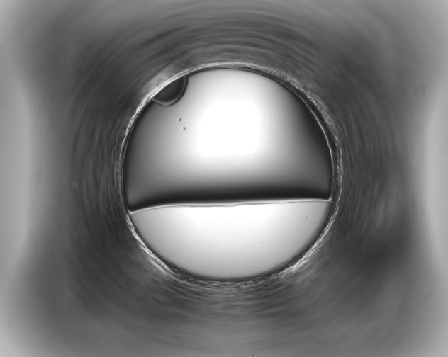 X0000087061529200704180926