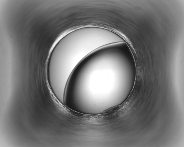 X0000087061530200704180926