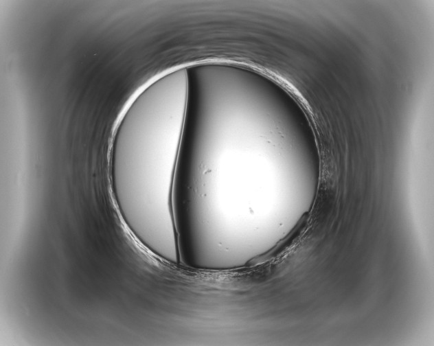 X0000087061532200704180926