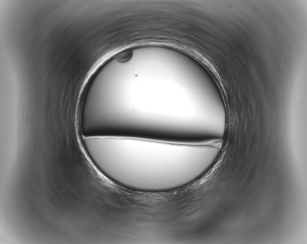 X0000087061533200704180926