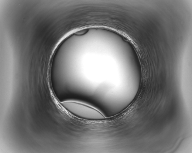 X0000087061534200704180926