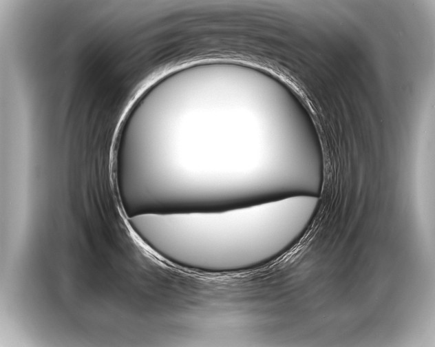 X0000087061535200704180926