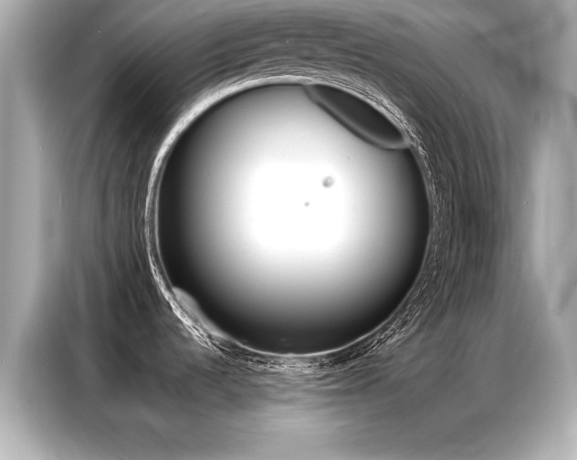 X0000087061536200704180926