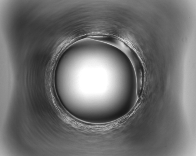 X0000087060001200704181308