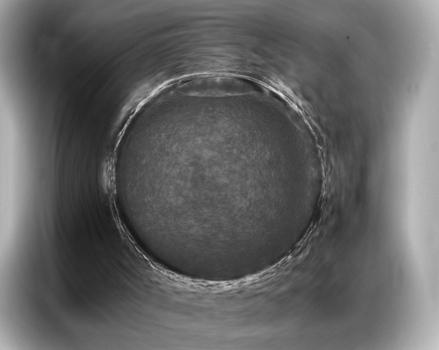 X0000087060002200704181308