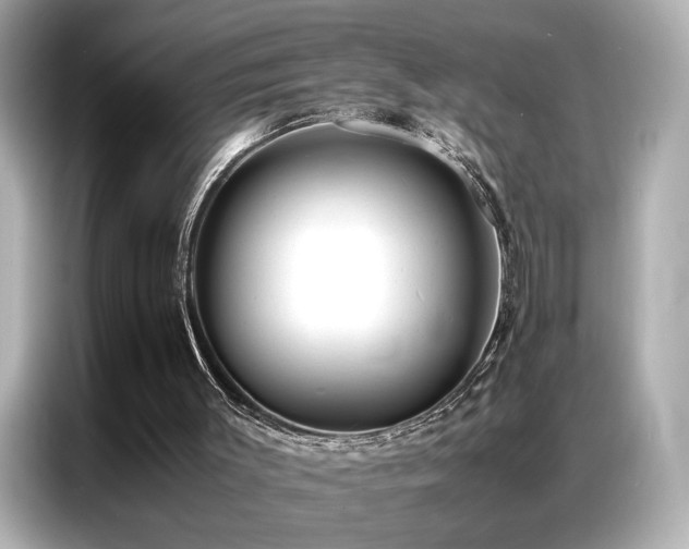 X0000087060003200704181308