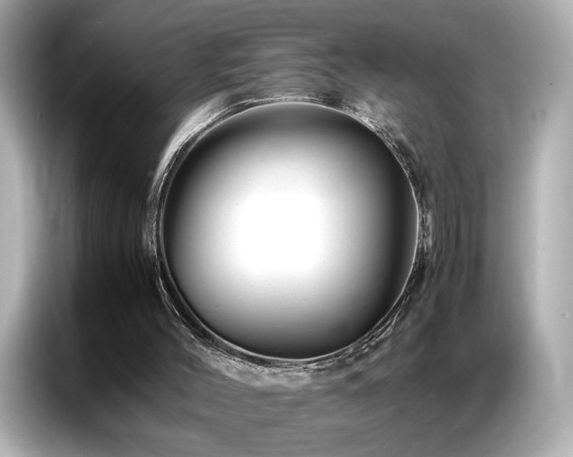 X0000087060004200704181308