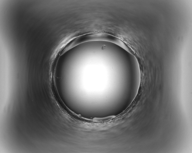 X0000087060005200704181308