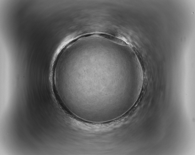 X0000087060006200704181308