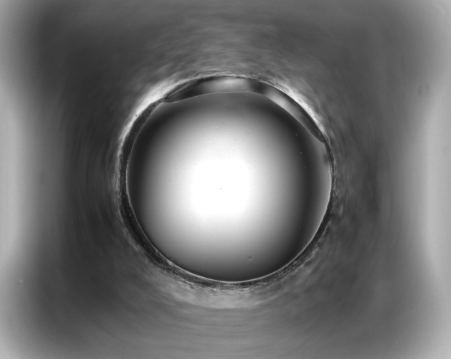 X0000087060008200704181308