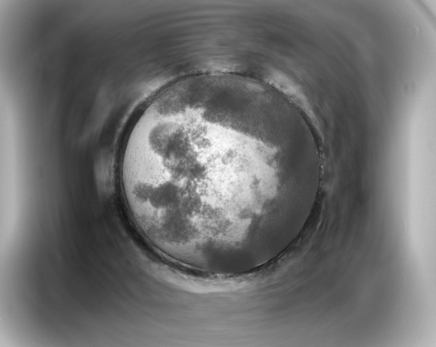 X0000087060012200704181308