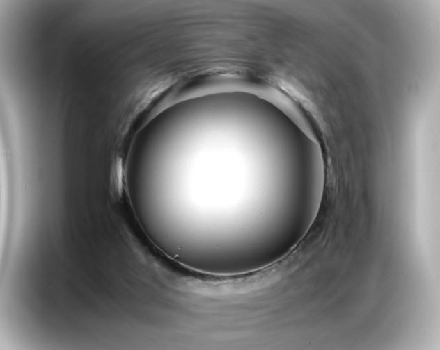 X0000087060013200704181308