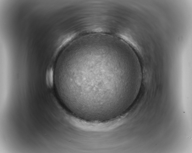 X0000087060014200704181308