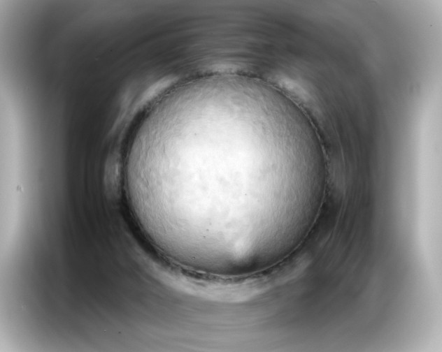 X0000087060016200704181308