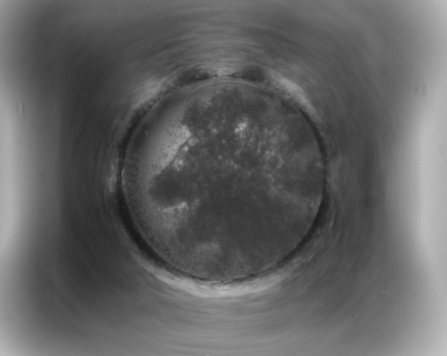 X0000087060018200704181308