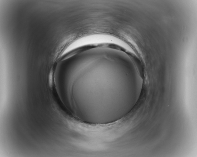 X0000087060019200704181308