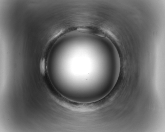 X0000087060020200704181308