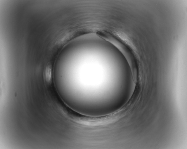 X0000087060021200704181308