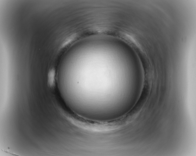 X0000087060024200704181308