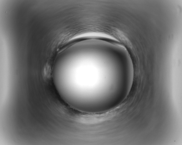 X0000087060025200704181308