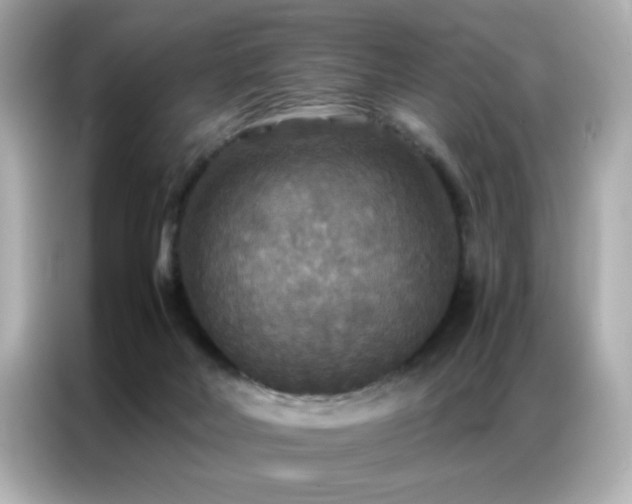 X0000087060026200704181308